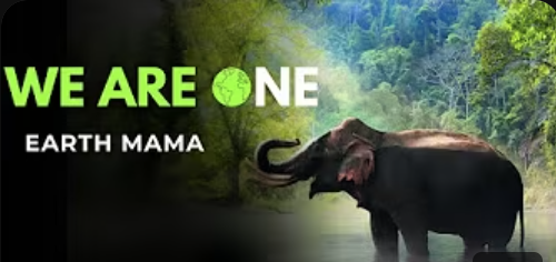 We are One (Music Video by Joyce Rouse)